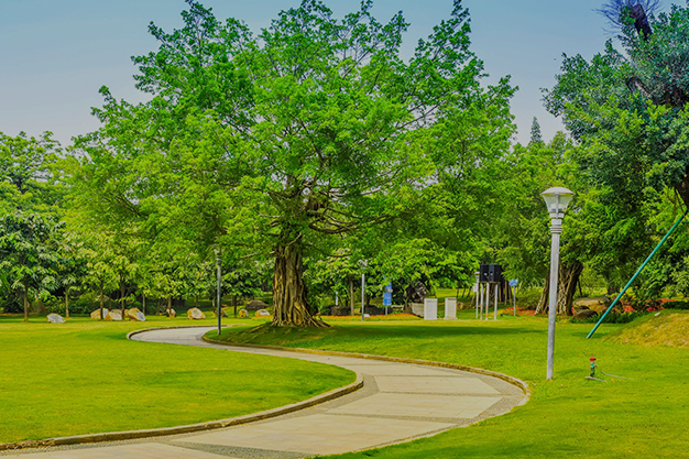 Landscaping Amenity background image